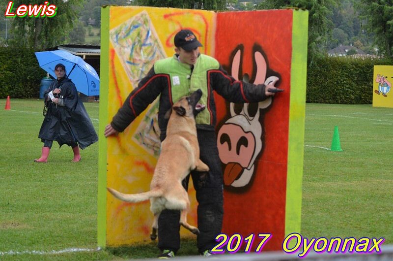 2017 ring oyo Lewis rech.jpg